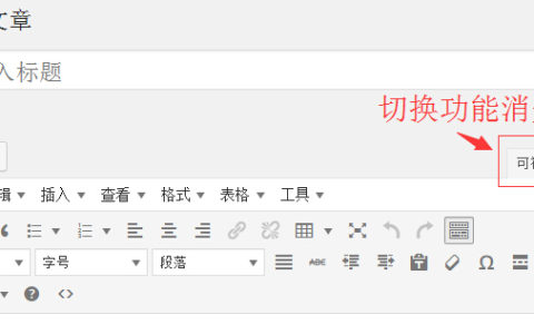 WordPress 升级后无法切换到文本模式