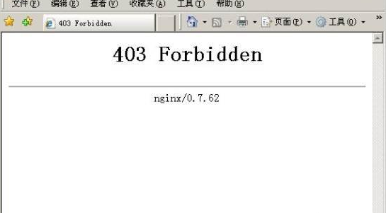 403 Forbidden错误