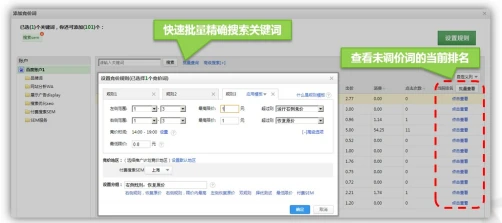  智能竞价系统 _百度推广助手Topsem 竞价管理软件 _百度竞价点击器