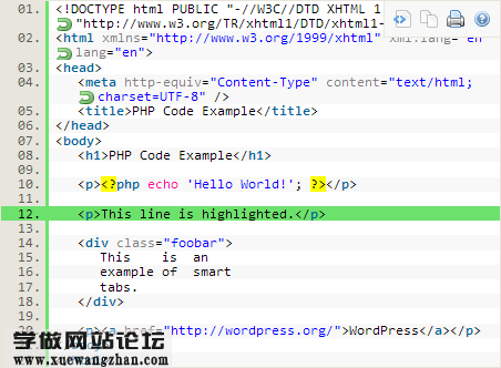 syntaxhighlighter:WordPress代码语法高亮插件,支持点击复制插图 wordpress代码语法高亮插件syntaxhighlighter效果预览